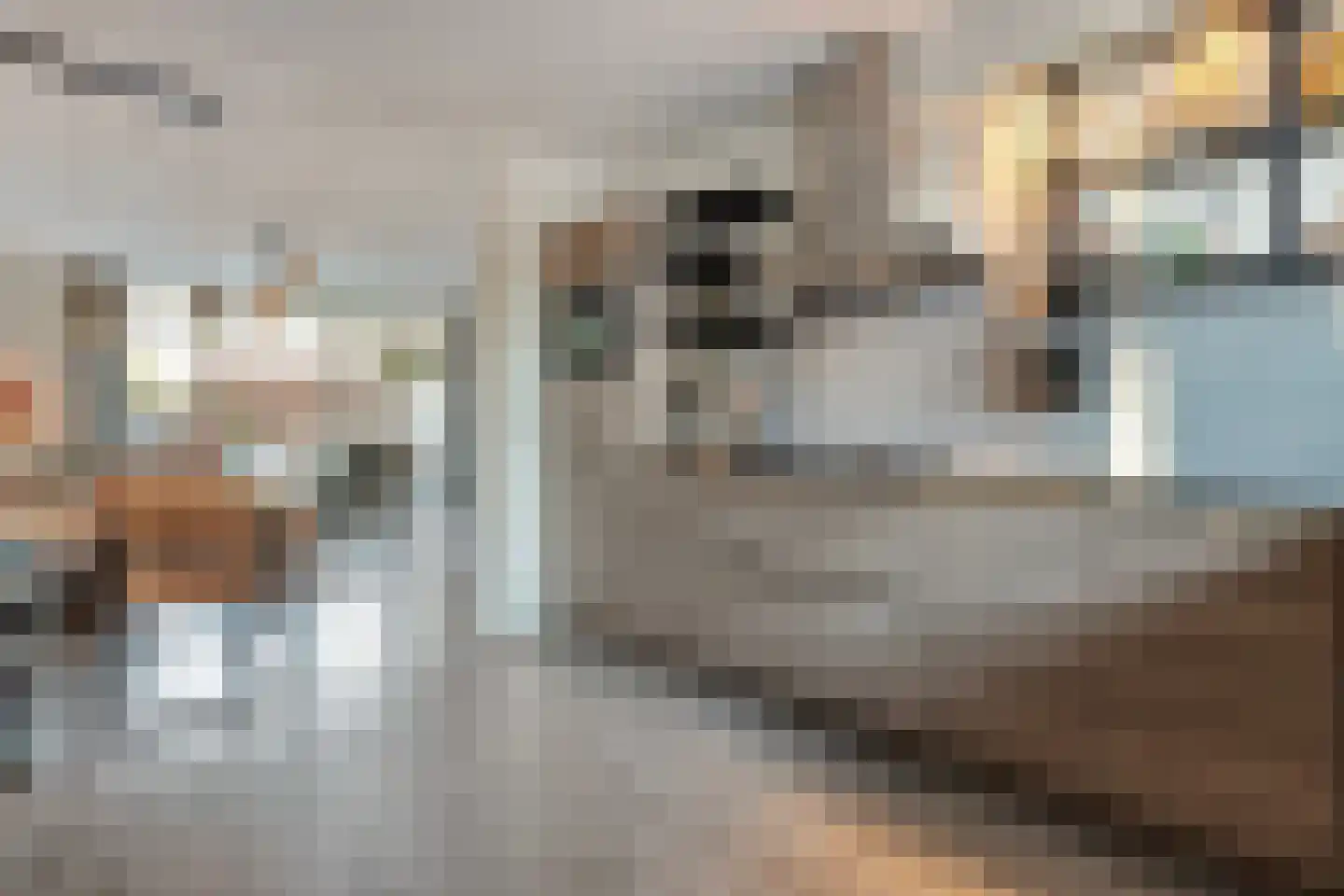 Scheppinckmate 62 Zwolle thumbnail 16