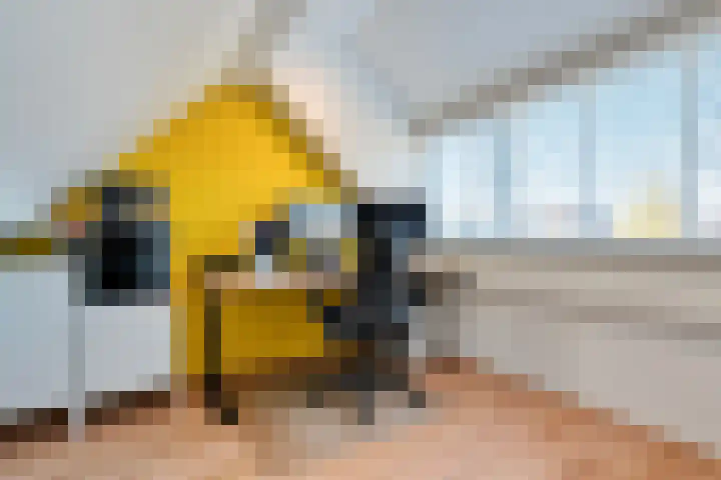 Scheppinckmate 62 Zwolle thumbnail 32