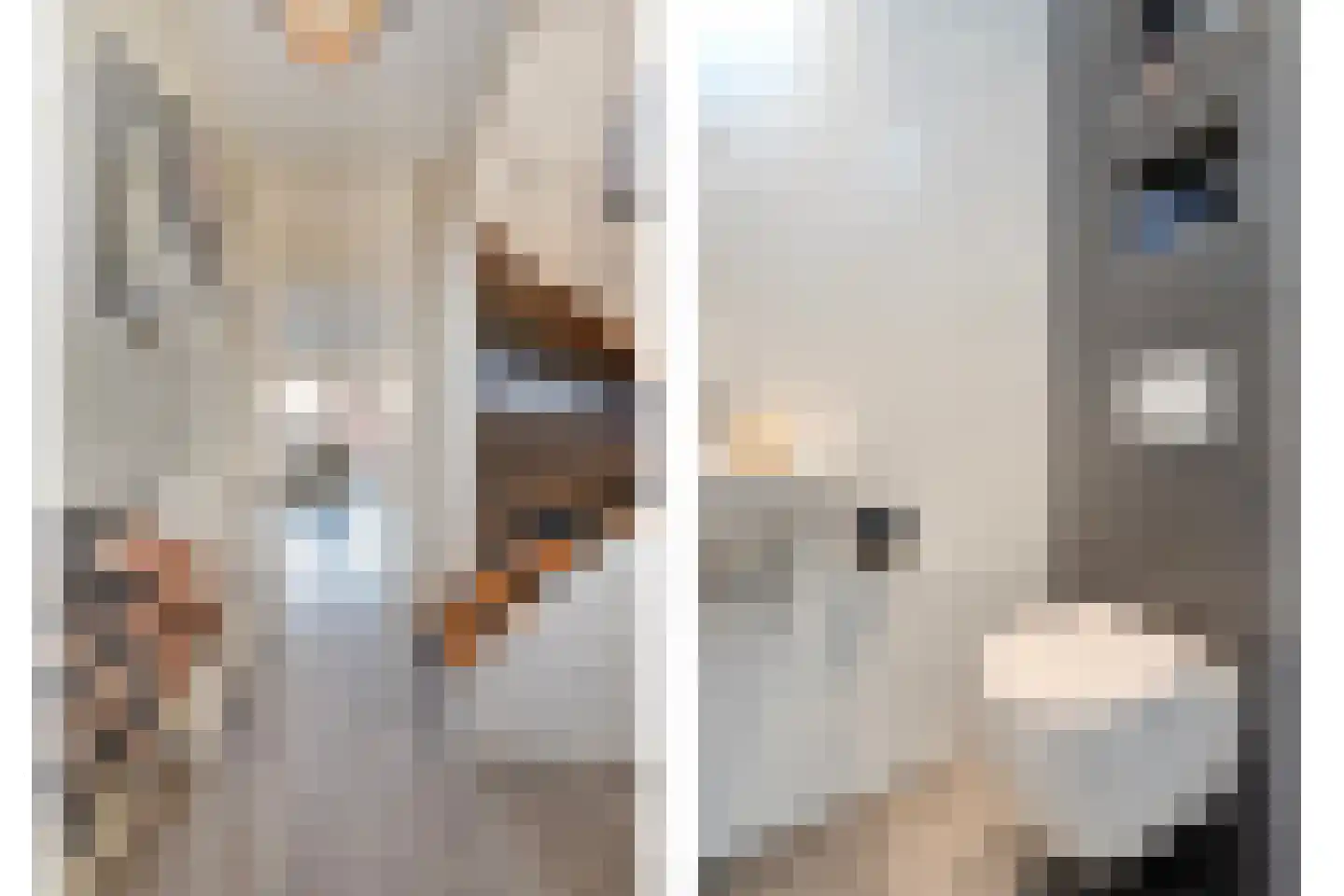 Scheppinckmate 62 Zwolle thumbnail 4