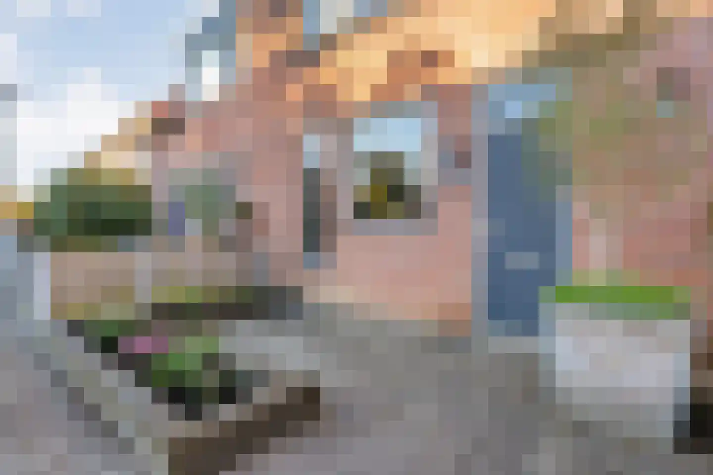 Scheppinckmate 62 Zwolle thumbnail 49