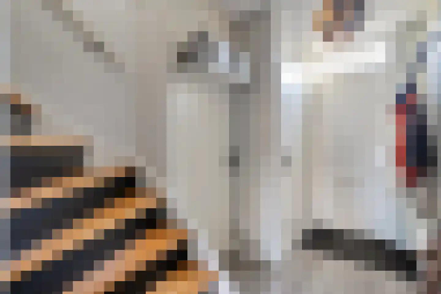 Scheppinckmate 62 Zwolle thumbnail 5