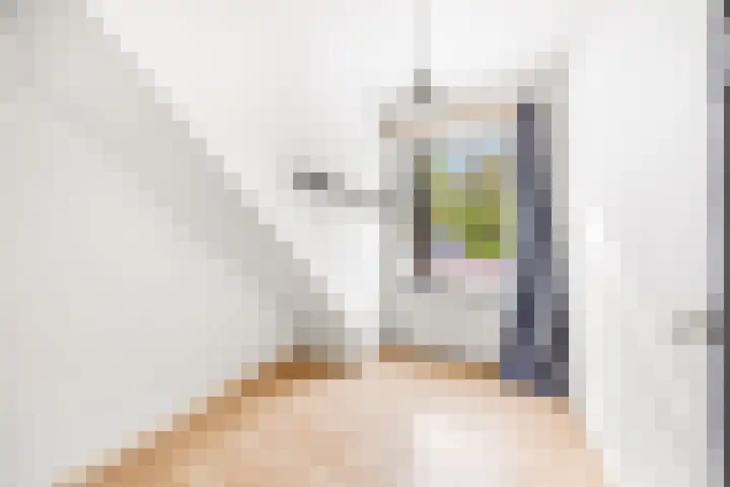 Scheppingstraat 64 Den Haag thumbnail 12