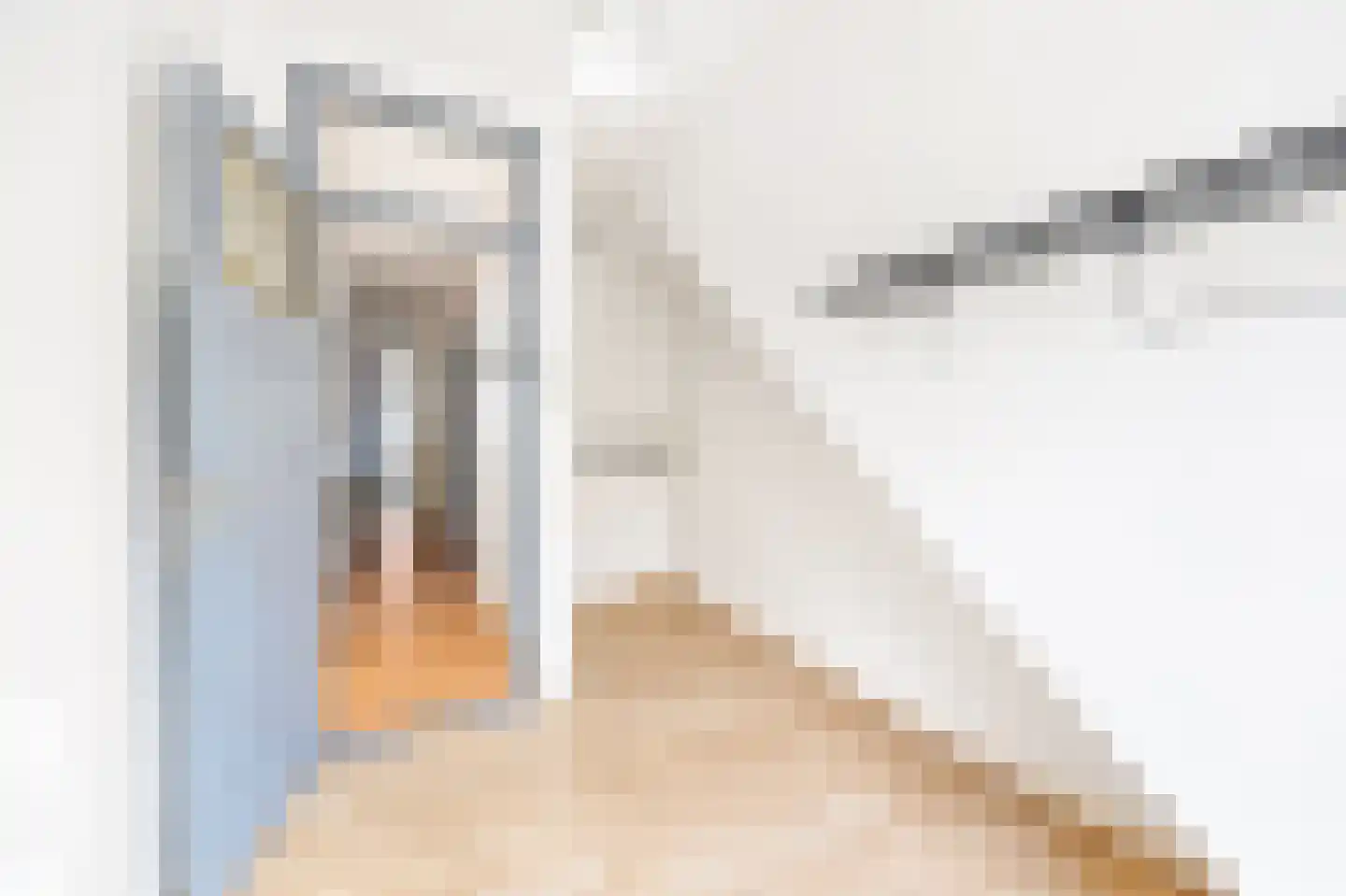 Scheppingstraat 64 Den Haag thumbnail 13