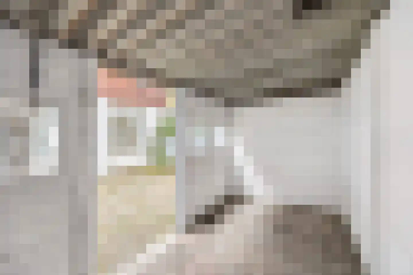 Scheppingstraat 64 Den Haag thumbnail 24