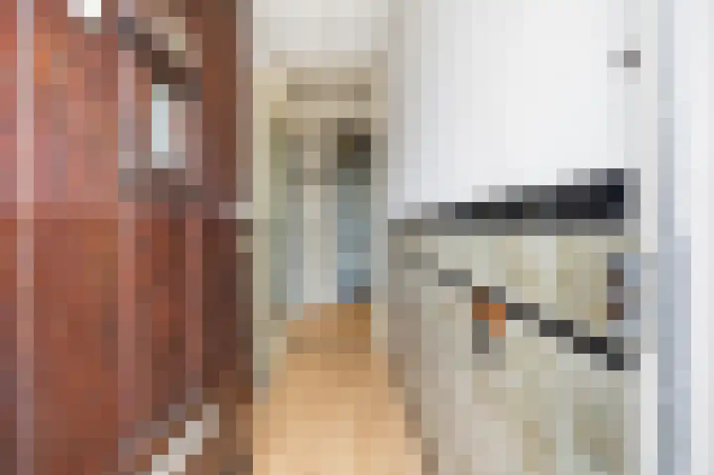 Scheppingstraat 64 Den Haag thumbnail 5