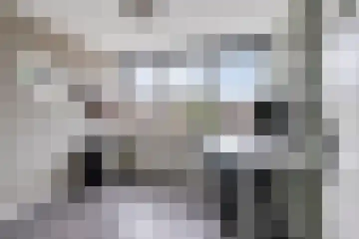 Scheprad 1 Huissen thumbnail 21