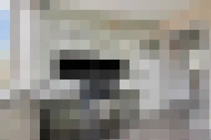 Scheprad 1 Huissen thumbnail 22