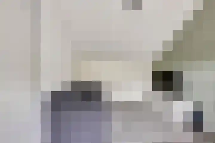 Scheprad 1 Huissen thumbnail 29