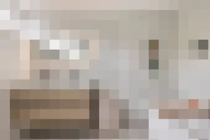 Scheprad 1 Huissen foto 3