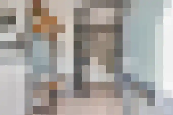 Scheprad 1 Huissen thumbnail 4