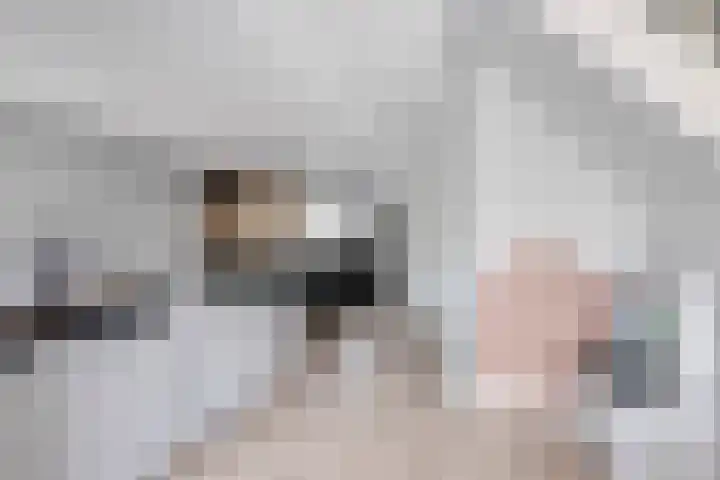 Scheprad 1 Huissen thumbnail 6