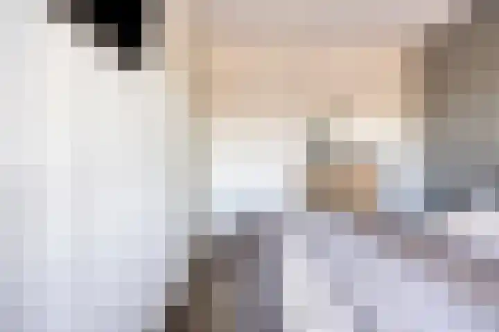 Schepsnavel 1 Franeker thumbnail 13