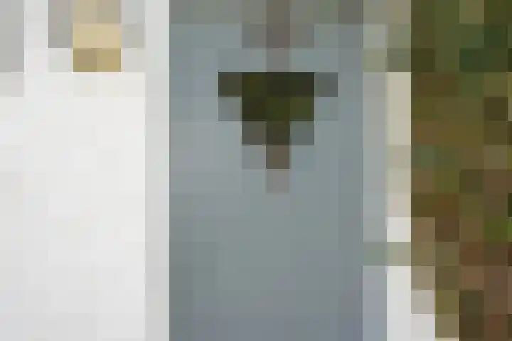 Schepsnavel 1 Franeker thumbnail 17
