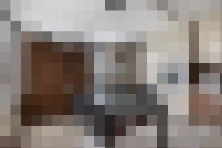 Schepsnavel 1 Franeker thumbnail 20