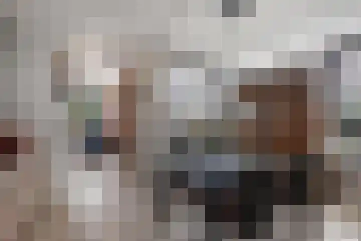 Schepsnavel 1 Franeker thumbnail 22
