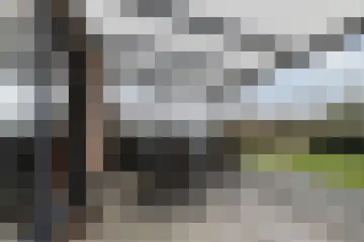 Schepsnavel 1 Franeker thumbnail 25