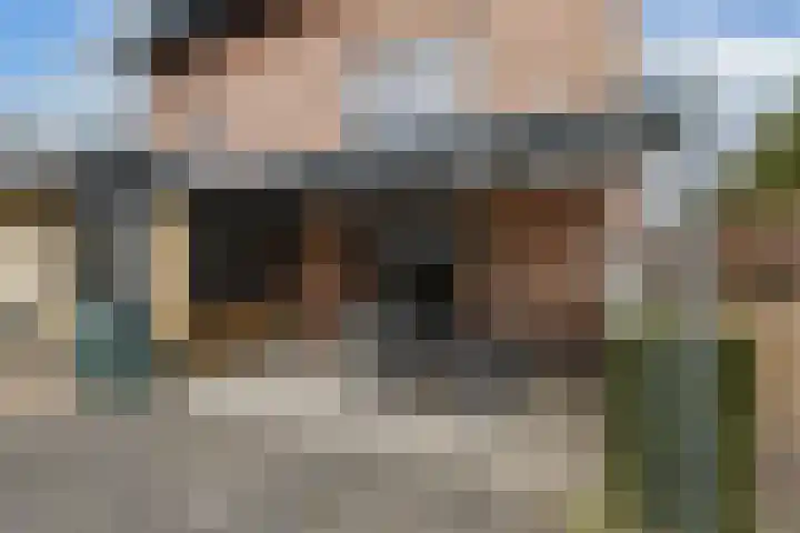 Schepsnavel 1 Franeker thumbnail 26