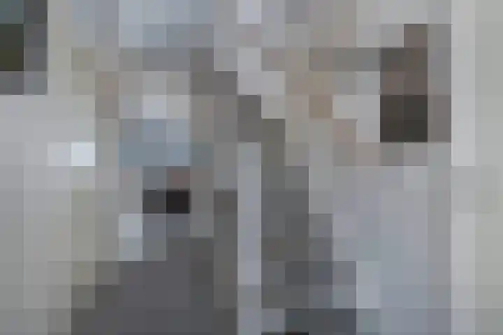 Schepsnavel 1 Franeker thumbnail 34