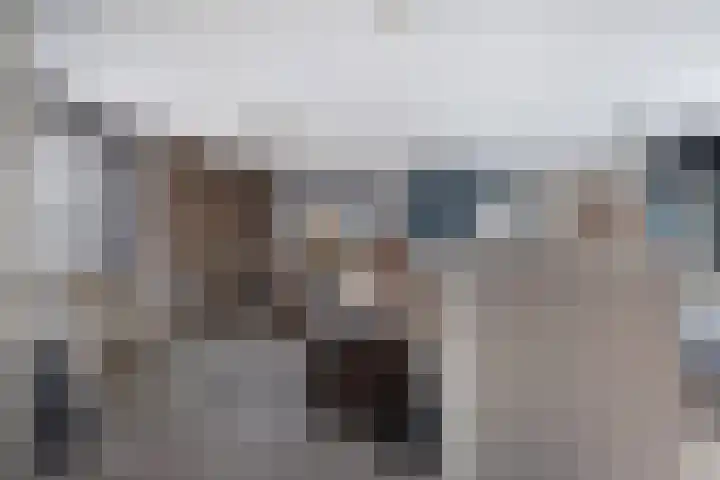Schepsnavel 1 Franeker thumbnail 35