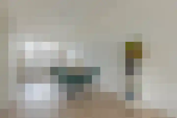 Schepsnavel 1 Franeker thumbnail 48