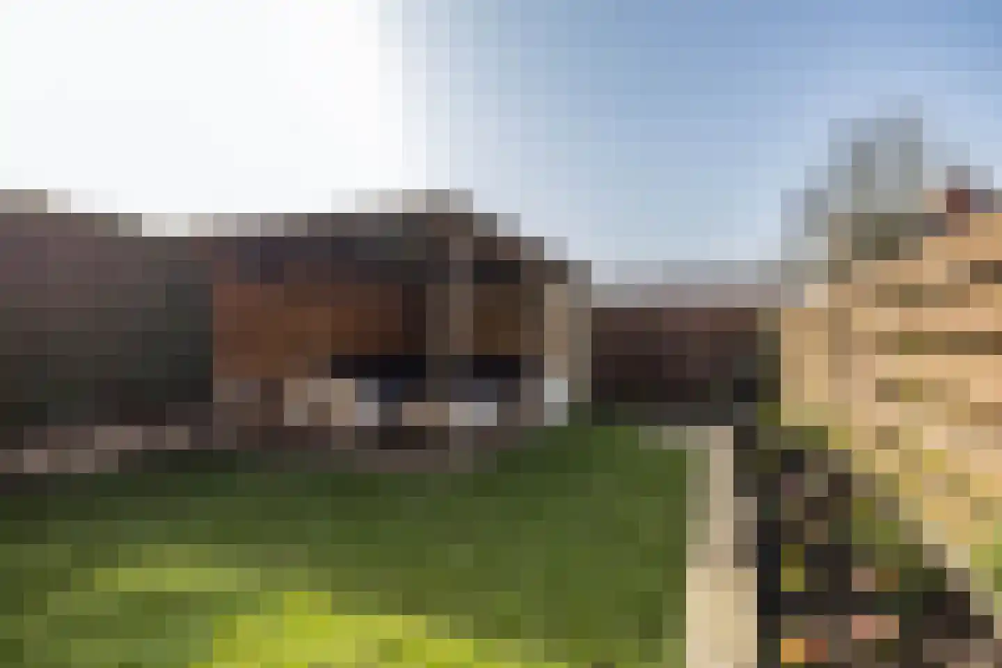 Schepsnavel 1 Franeker thumbnail 50
