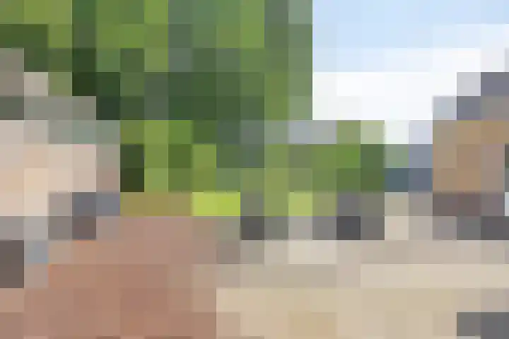 Schepsnavel 16 Franeker thumbnail 11