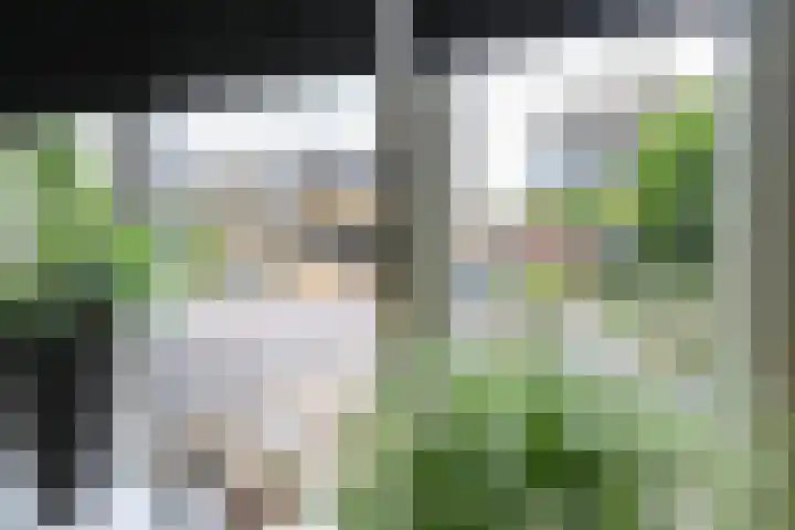 Schepsnavel 16 Franeker thumbnail 12