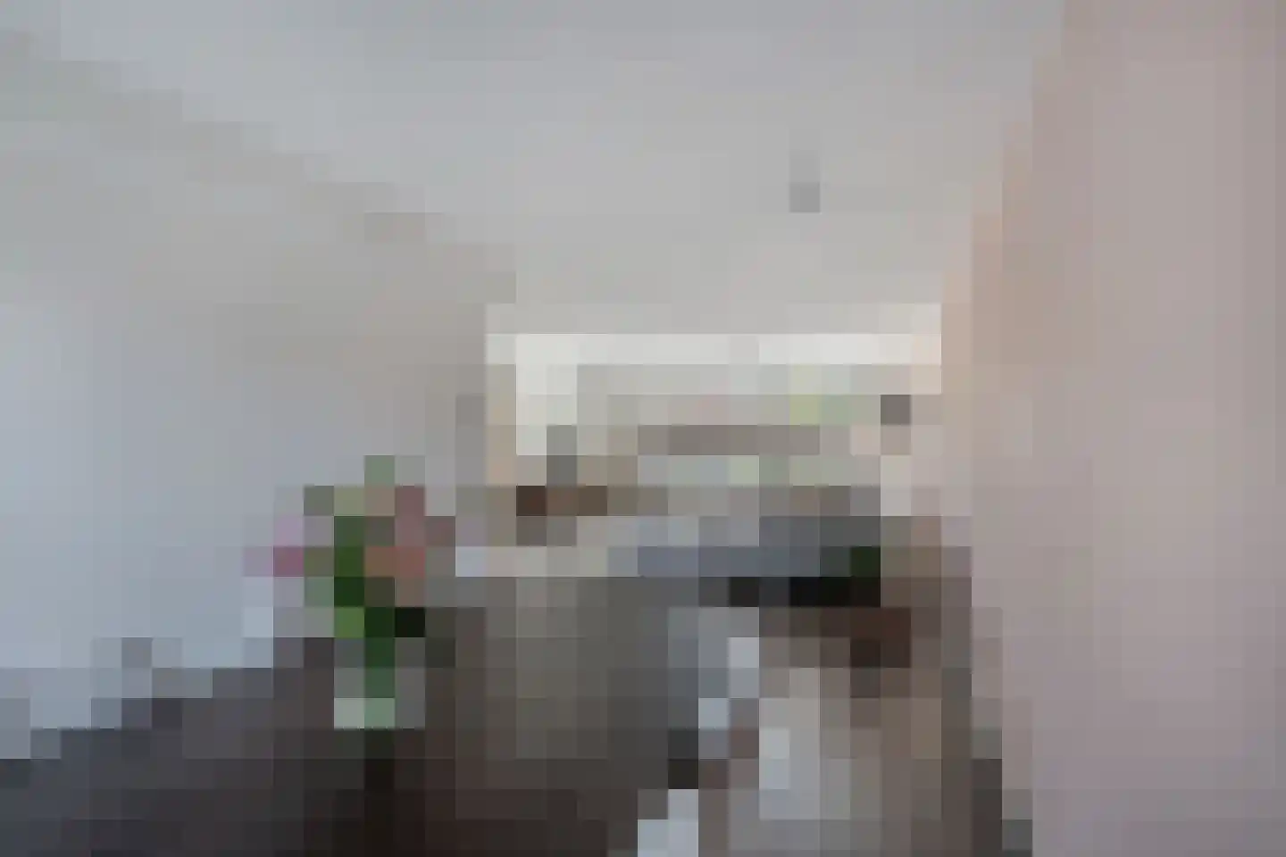 Schepsnavel 16 Franeker thumbnail 14