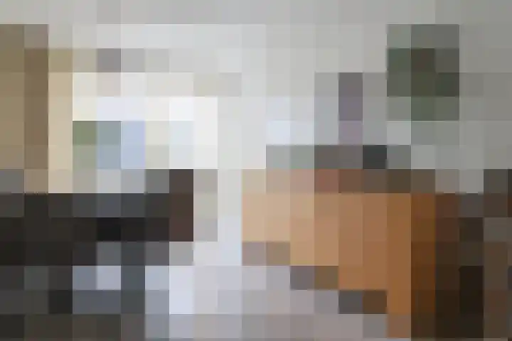 Schepsnavel 16 Franeker thumbnail 16