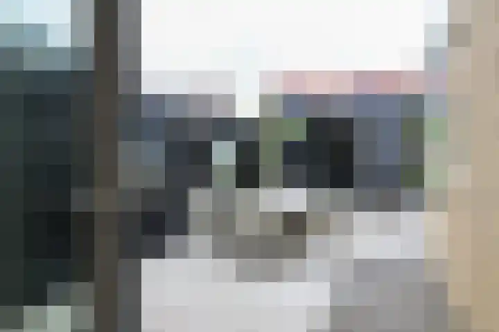 Schepsnavel 16 Franeker thumbnail 17