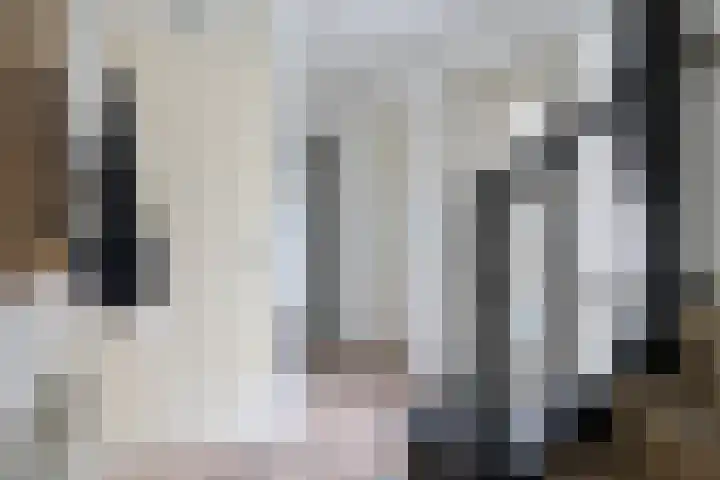 Schepsnavel 16 Franeker thumbnail 18
