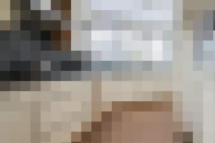 Schepsnavel 16 Franeker thumbnail 20