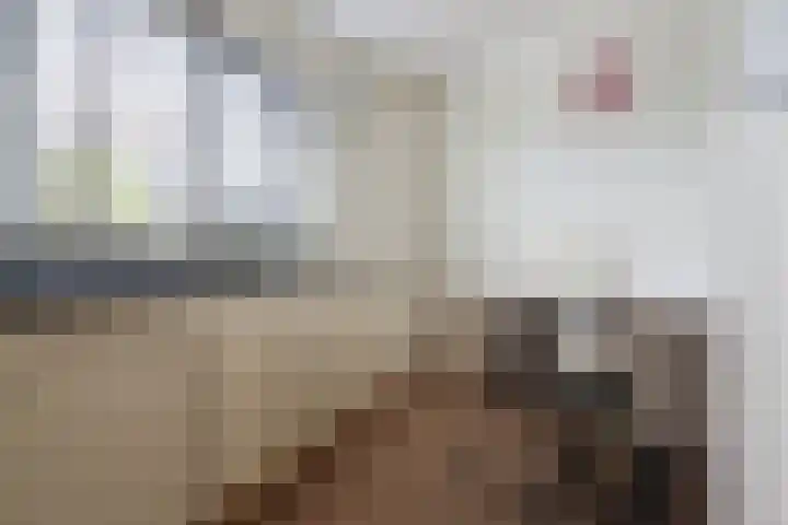 Schepsnavel 16 Franeker thumbnail 21