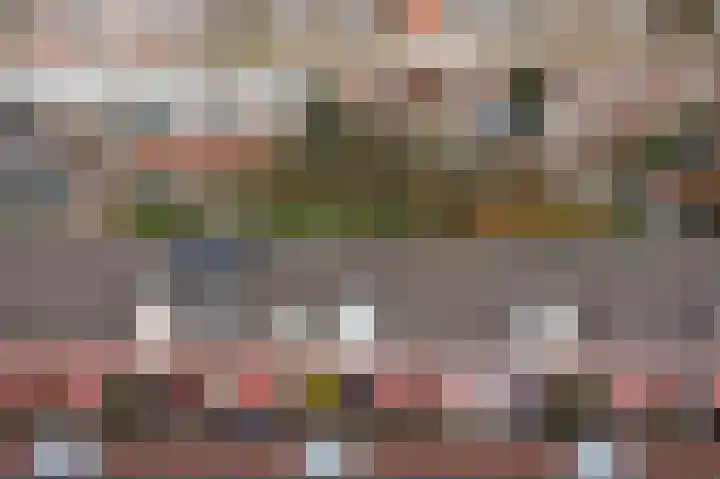 Schepsnavel 16 Franeker thumbnail 22