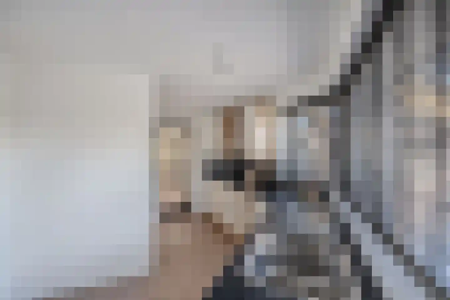 Schepsnavel 16 Franeker thumbnail 24