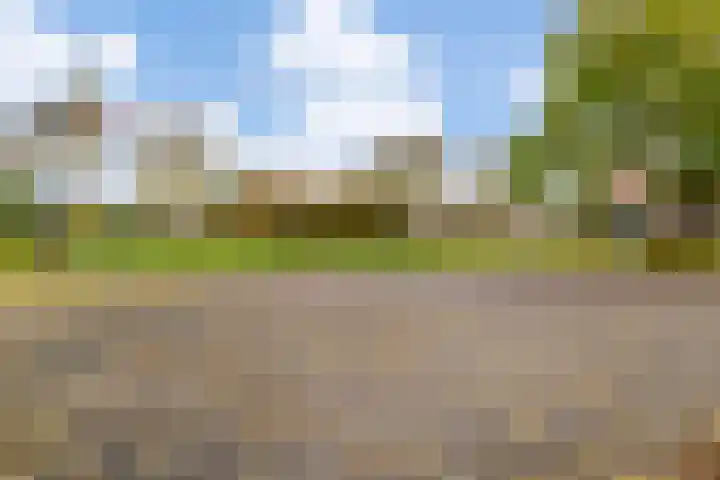 Schepsnavel 16 Franeker thumbnail 31
