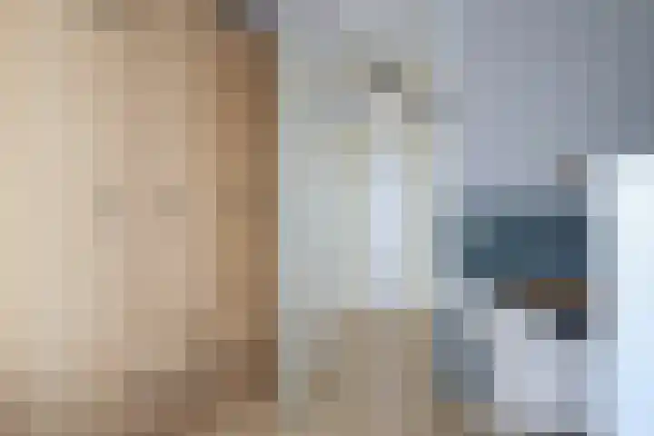 Schepsnavel 16 Franeker thumbnail 31