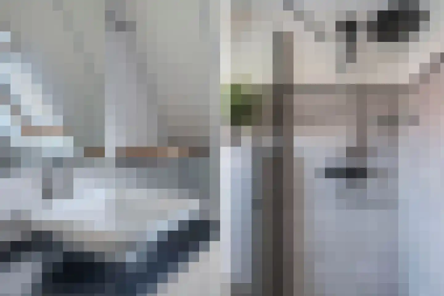 Schepsnavel 16 Franeker thumbnail 31