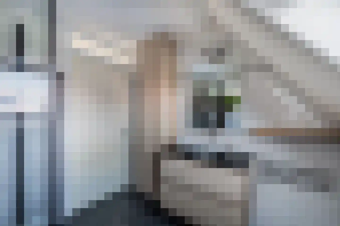 Schepsnavel 16 Franeker thumbnail 32