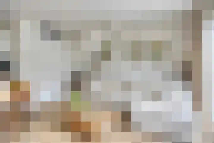 Schepsnavel 16 Franeker thumbnail 35