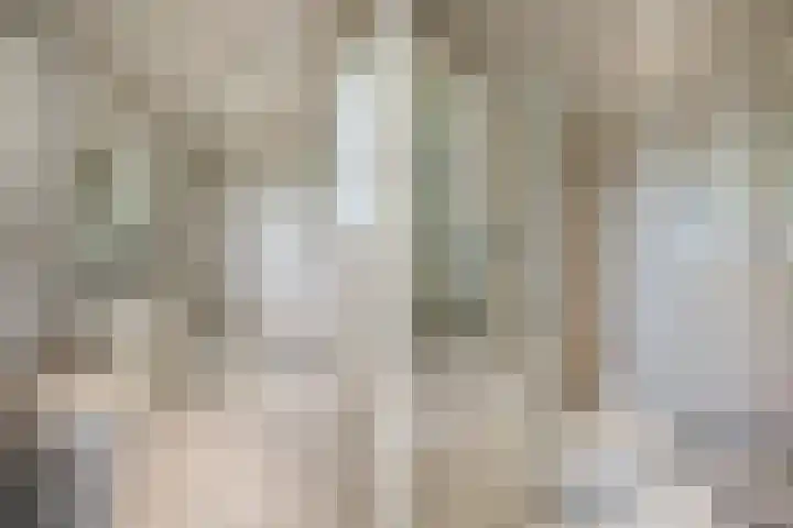 Schepsnavel 16 Franeker thumbnail 38