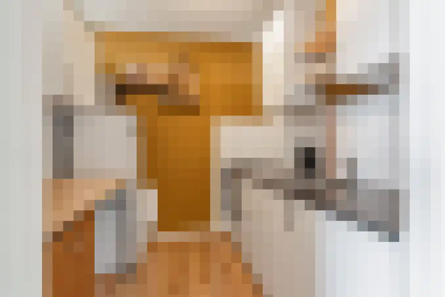 Schepsnavel 16 Franeker thumbnail 39