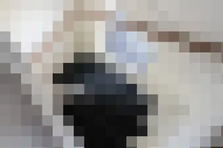 Schepsnavel 16 Franeker thumbnail 40