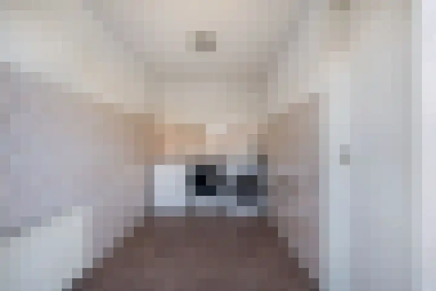Schepsnavel 16 Franeker thumbnail 41