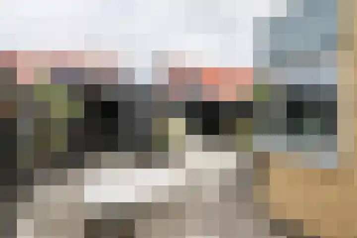 Schepsnavel 16 Franeker thumbnail 45