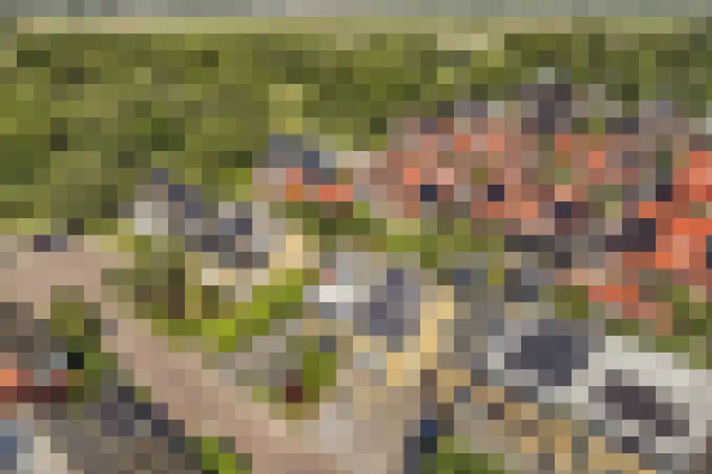 Schepsnavel 16 Franeker thumbnail 46