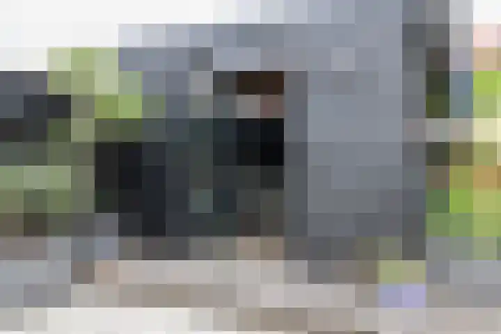 Schepsnavel 16 Franeker thumbnail 48
