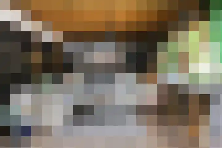 Schepsnavel 16 Franeker thumbnail 49