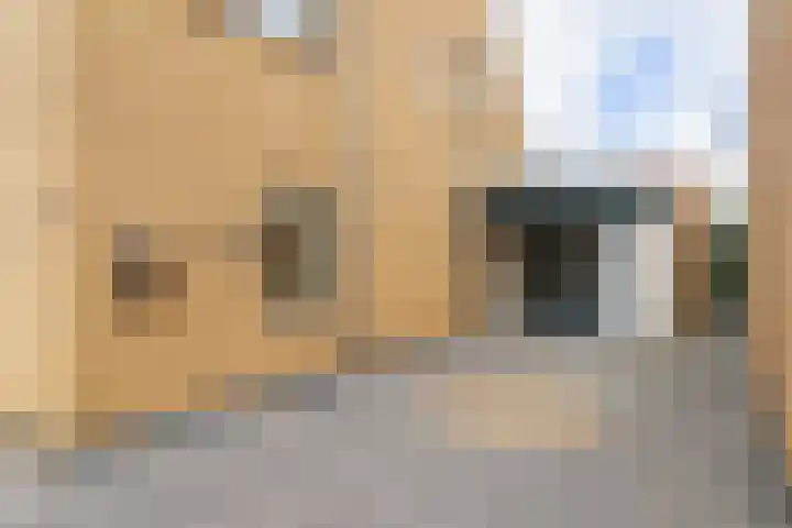 Schepsnavel 16 Franeker thumbnail 5