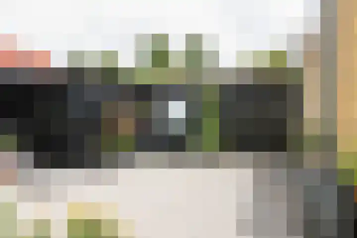 Schepsnavel 16 Franeker thumbnail 54